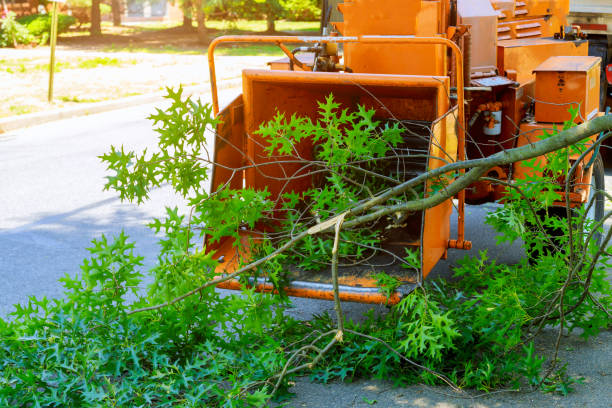 Lawn Irrigation Installation and Maintenance in Columbia Falls, MT